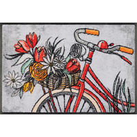 DVEŘNÍ ROHOŽKA, 40/60 cm - vícebarevná, Basics, textil/plast (40/60cm)