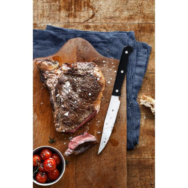 STEAKMESSERSET Kansas  - Schwarz, LIFESTYLE, Kunststoff/Metall (27,5/12,5/4,5cm) - WMF