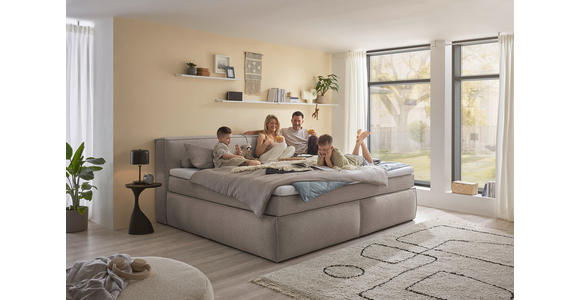 FAMILIENBOXSPRINGBETT - Taupe/Schwarz, LIFESTYLE, Kunststoff/Textil (240/200cm) - Esposa