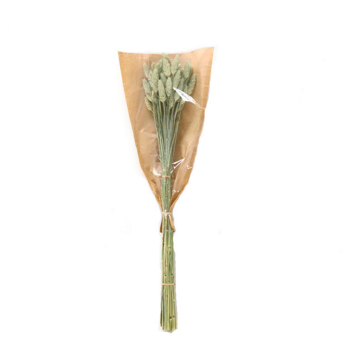 TROCKENBLUME - Naturfarben, Basics (60cm)