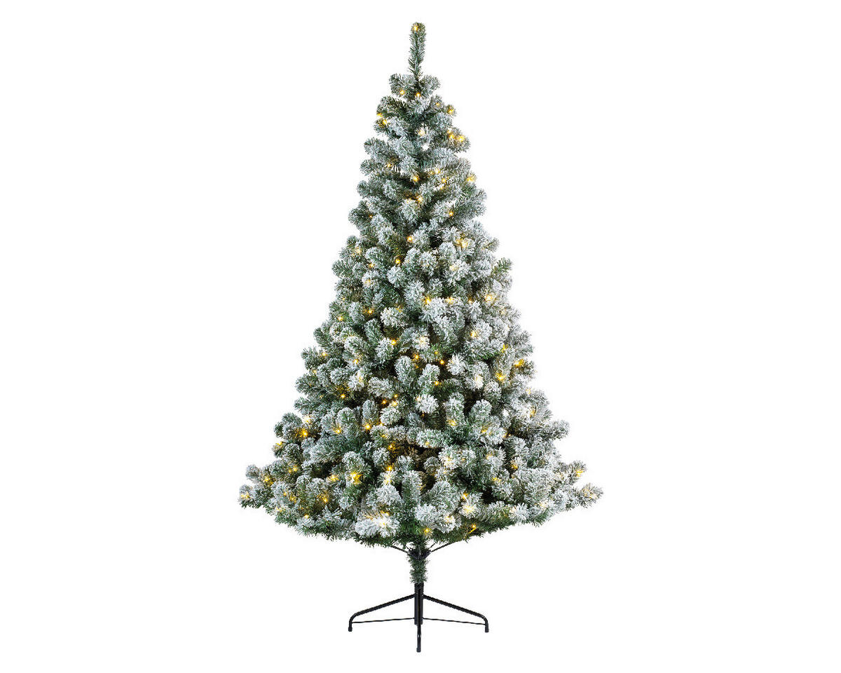 WEIHNACHTSBAUM  - Konventionell (180cm)