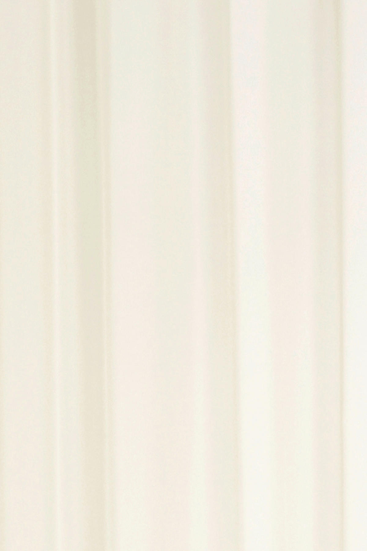 SCHLAUFENSCHAL  transparent   140/300 cm 2 Stück  - Beige/Creme, Basics, Textil (140/300cm)