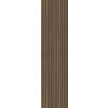 AKUSTIKPANEEL Echtholz Eiche rustikal acous Professional 60/250/2.1 cm  - Eichefarben, KONVENTIONELL, Holz/Kunststoff (60/250/2.1cm) - Novel