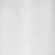 FLÄCHENVORHANG in Weiß transparent  - Weiß, Design, Textil (60/255cm) - Novel