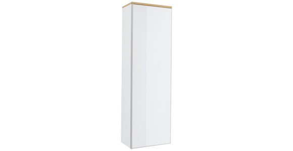 GARDEROBENSCHRANK  in 54/170/31 cm  - Eichefarben/Silberfarben, Design, Glas/Holz (54/170/31cm) - Novel