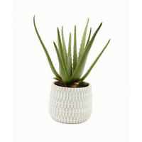 KUNSTBLUME Aloe Vera  - Grün, Basics (35cm)