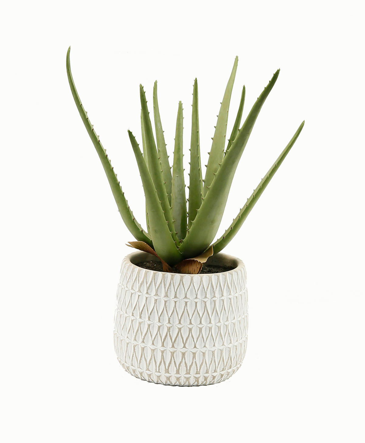 KUNSTBLUME Aloe Vera  - Grün, Basics (35cm)