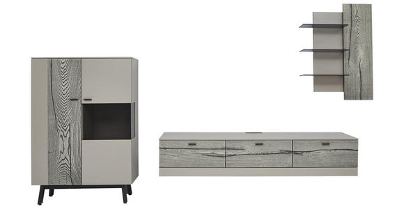 WOHNWAND in Grau, Eichefarben, Fango - Edelstahlfarben/Fango, Design, Glas/Holz (339,5/195,4/41,2cm) - Dieter Knoll