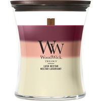 VONNÁ SVÍČKA  - bílá/bordeaux, Basics, parafín/sklo (10/11,4/10cm) - WoodWick