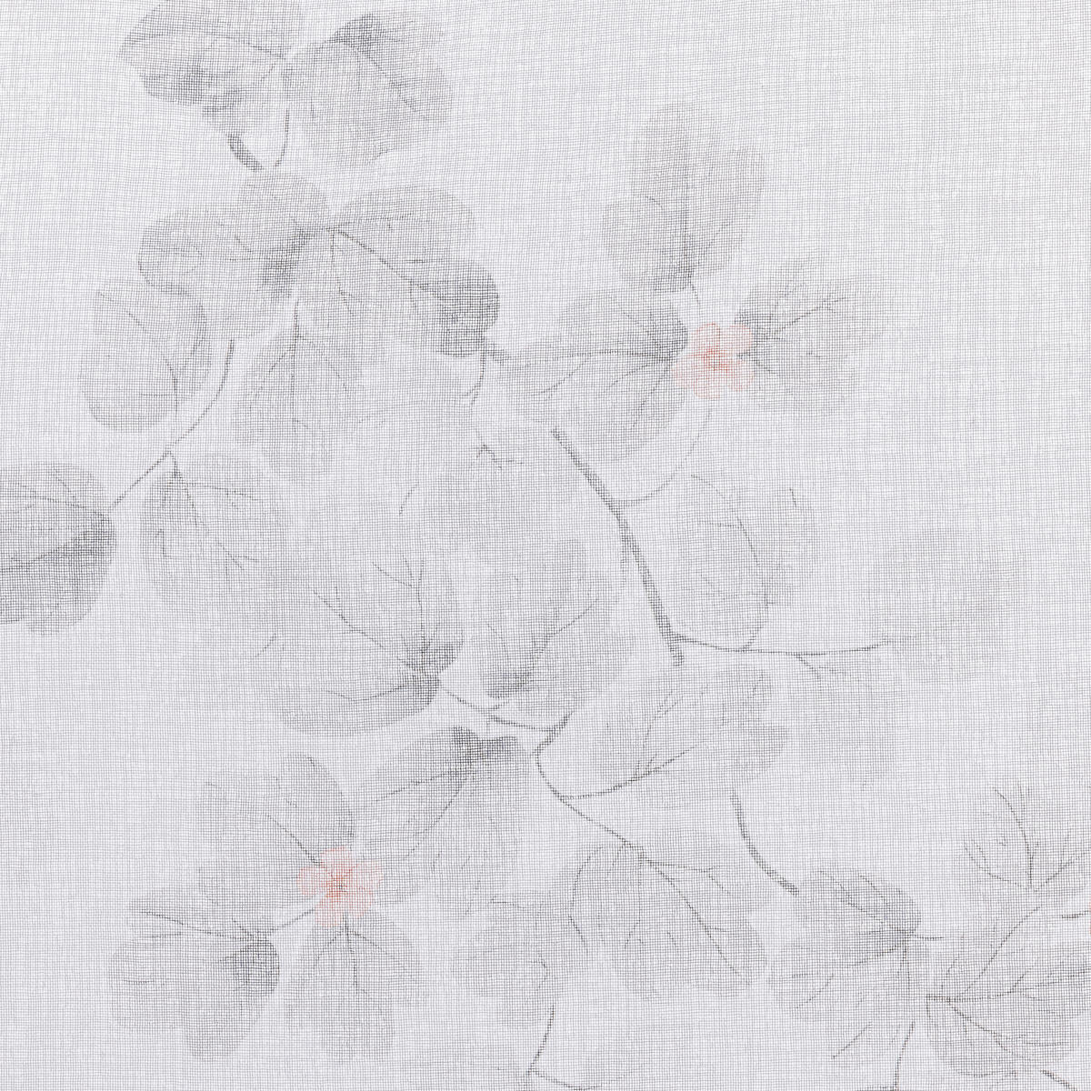 ÖSENSCHAL AIMO halbtransparent 135/245 cm   - Grau, Natur, Textil (135/245cm) - Esposa