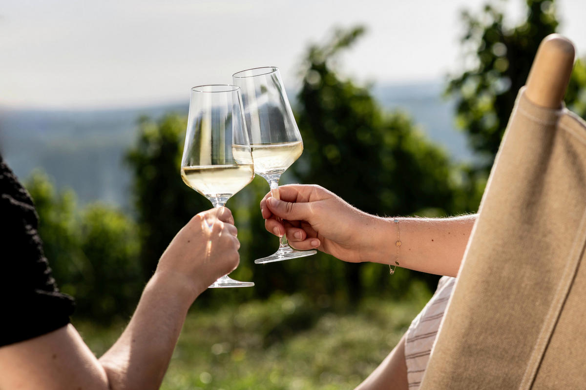 RÖDVINSGLAS 486 ml 2 delar  - transparent, Design, glas (8,8/22,8cm) - Zwiesel Glas