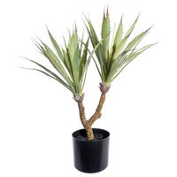 KUNSTPFLANZE Agave 60 cm  - Schwarz/Braun, Design, Kunststoff (60cm)