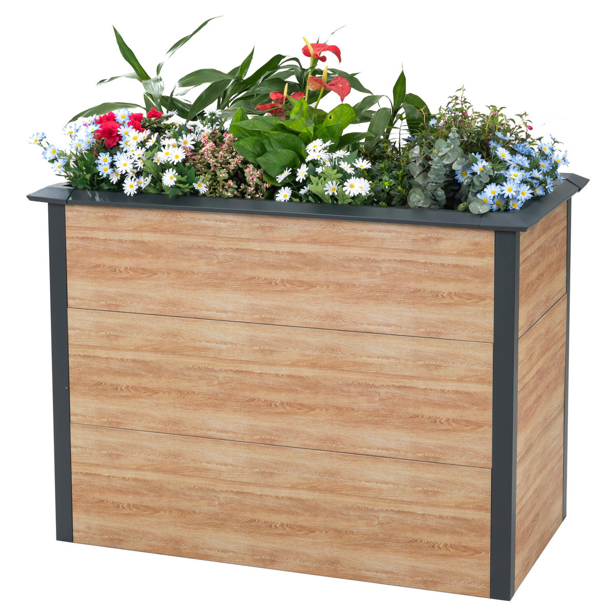 HOCHBEET Priumus  - Lärchefarben, KONVENTIONELL, Metall (50/100/77cm) - Ambia Garden
