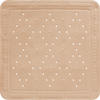DUSCHEINLAGE Kunststoff  - Beige, Basics, Kunststoff (55/55cm) - Grund