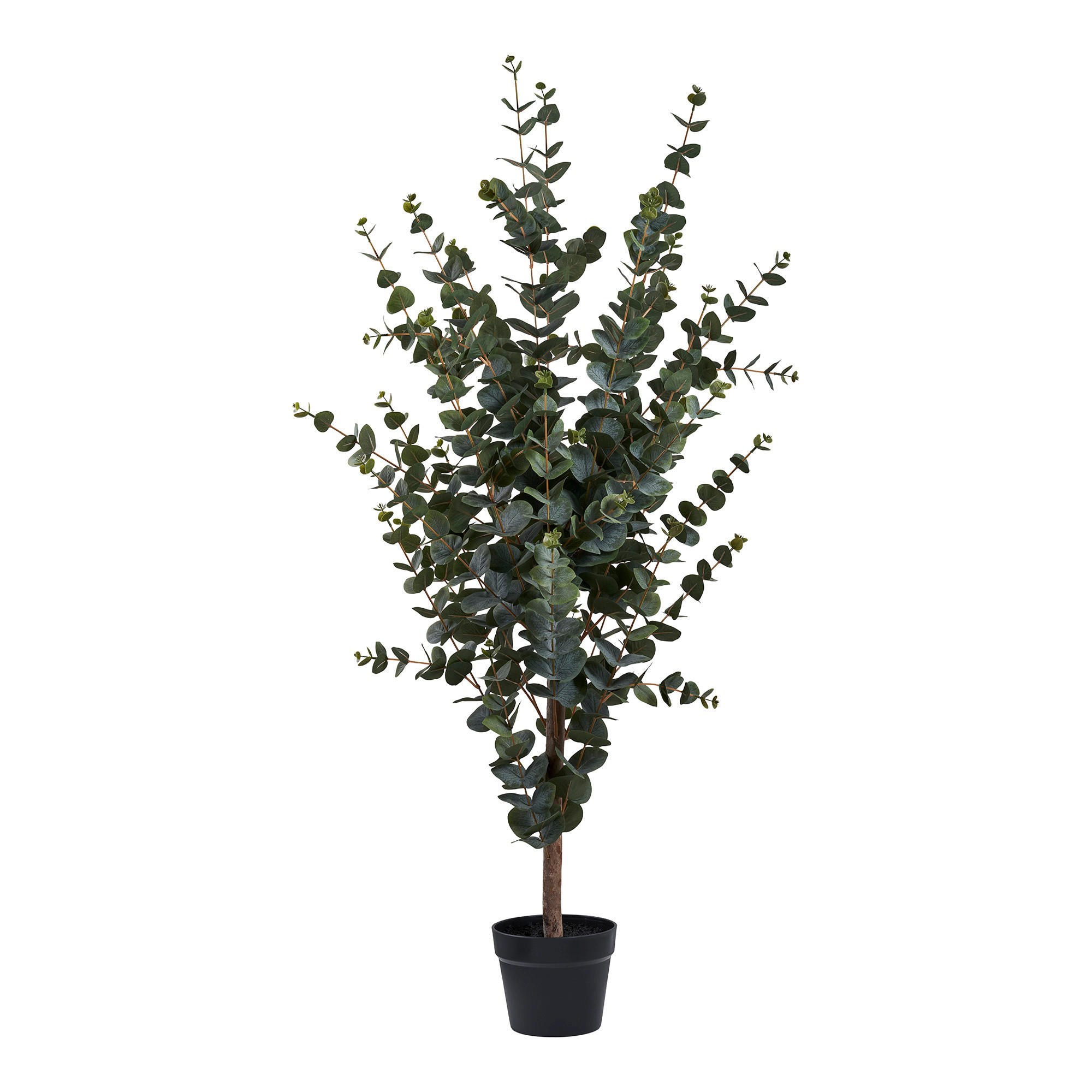 KONSTVÄXT eukalyptus  - grön, Design (46/120/36cm)