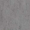 WANDPANEEL Baridecor Aqua Hellgrau  - Hellgrau, Design, Kunststoff (120/30/0,4cm)