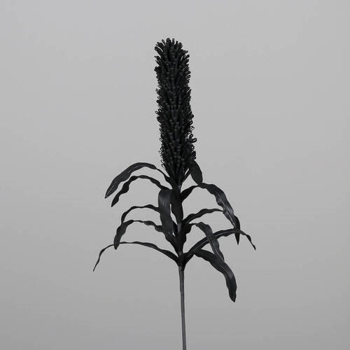 OKRASNA VEJICA - črna/rjava, Basics, umetna masa (84cm)