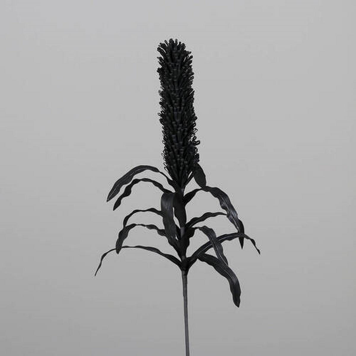 OKRASNA VEJICA - črna/rjava, Basics, umetna masa (84cm)