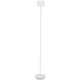 AKKU-STEHLEUCHTE 16/120 cm    - Weiß, Design, Kunststoff/Metall (16/120cm) - Dieter Knoll