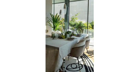 STUHL , , Samt  - Beige/Goldfarben, Design, Textil/Metall (52/81/58cm) - Ambia Home