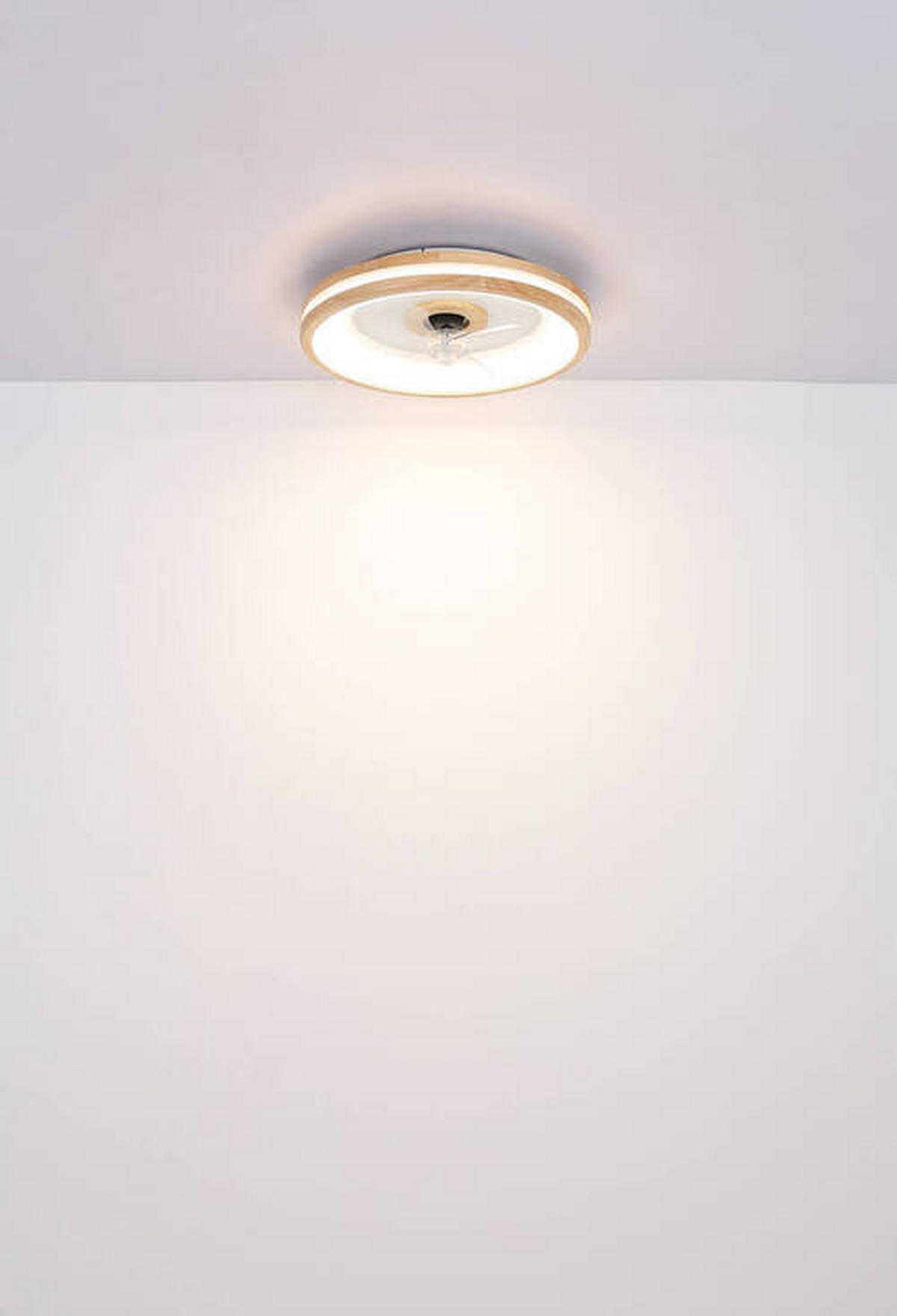 MENNYEZETI VENTILÁTOR - sötétbarna/áttetsző, Natur, műanyag/fém (50/12,5cm) - Globo