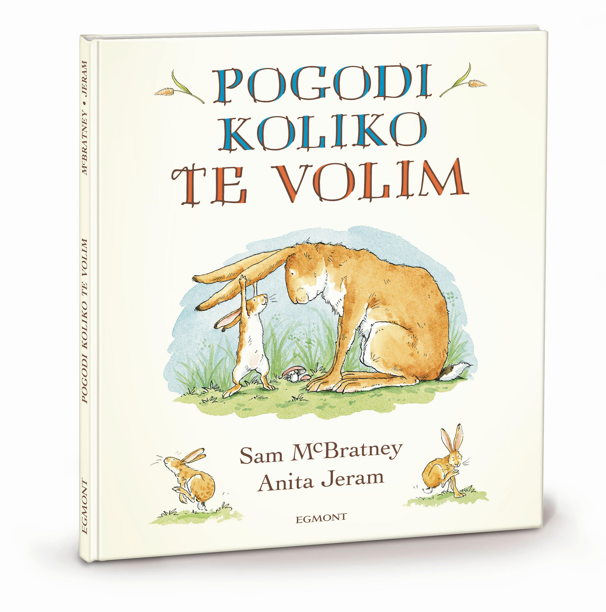 SLIKOVNICA   - Basics, papir (21/24/0,7cm)