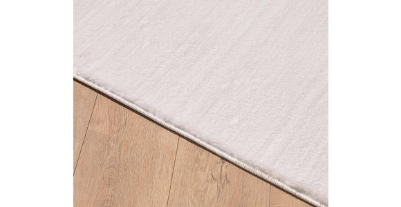 HOCHFLORTEPPICH CATWALK - Creme, Basics, Textil (120/160cm) - Novel