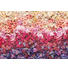 FOTOTAPETE - Grau, Basics, Papier (368/254cm) FOTOTAPETE - Grau, Basics, Papier (368/254cm)