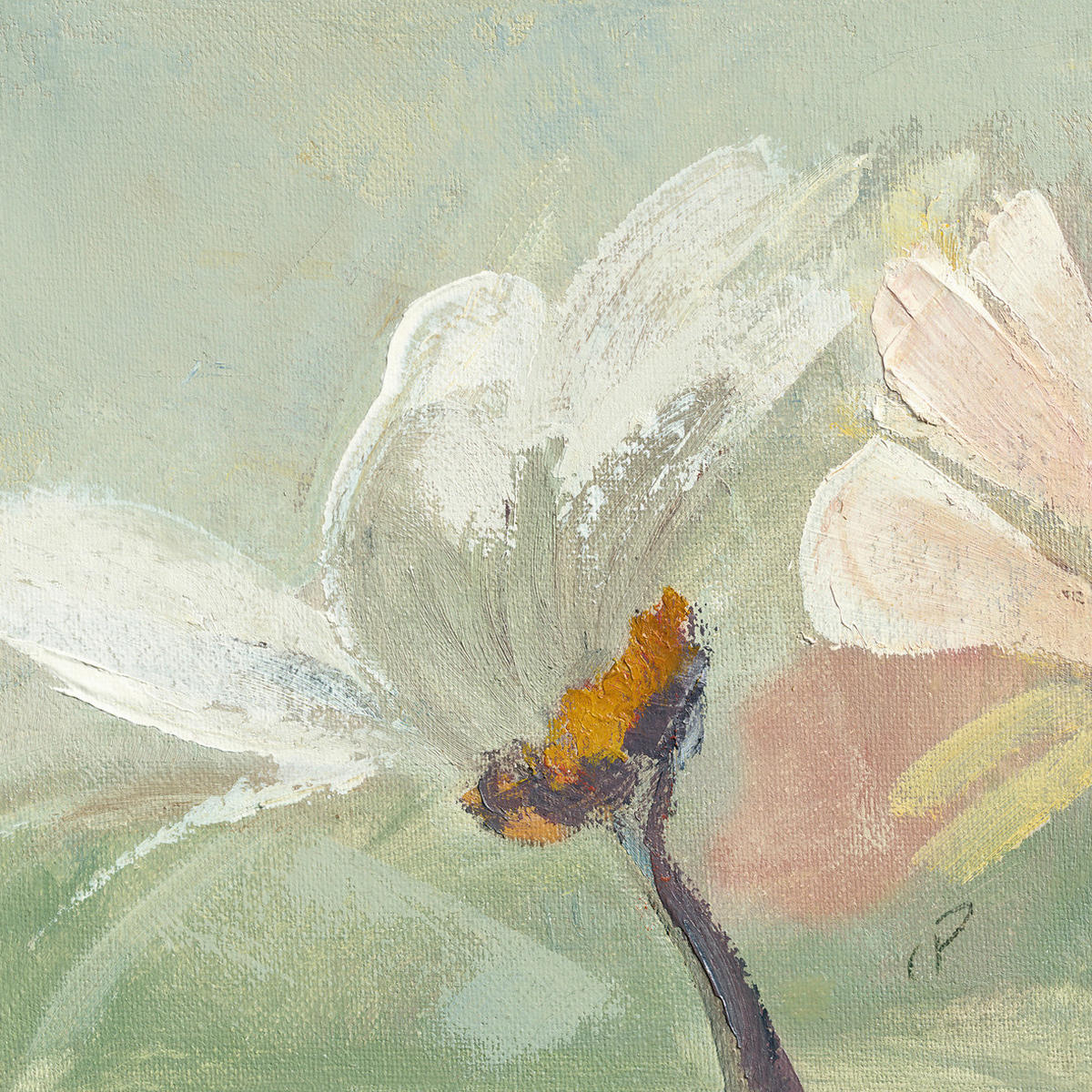 KUNSTDRUCK Blumen 30/30 cm  - Rosa/Weiß, Basics, Papier (30/30cm) - Monee