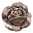 DEKOBLUME - Creme/Grau, LIFESTYLE, Keramik (15/9,5cm) DEKOBLUME - Creme/Grau, LIFESTYLE, Keramik (15/9,5cm)