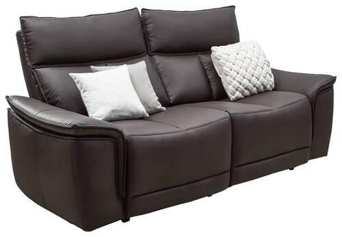 2-SITZER-SOFA Echtleder Dunkelbraun  - Dunkelbraun, KONVENTIONELL, Leder (190/102/100cm) - Celina Home