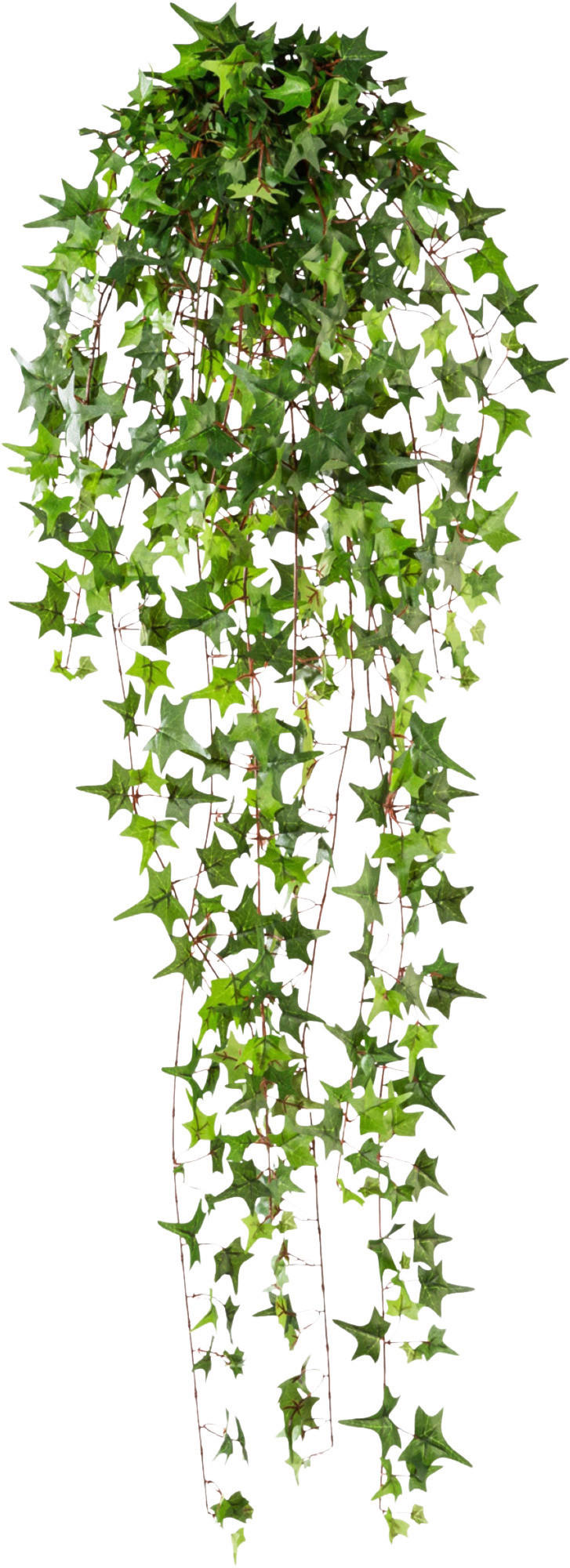 KUNSTPFLANZE Efeu 115 cm  - Grün, Design, Kunststoff (115cm) - P & B