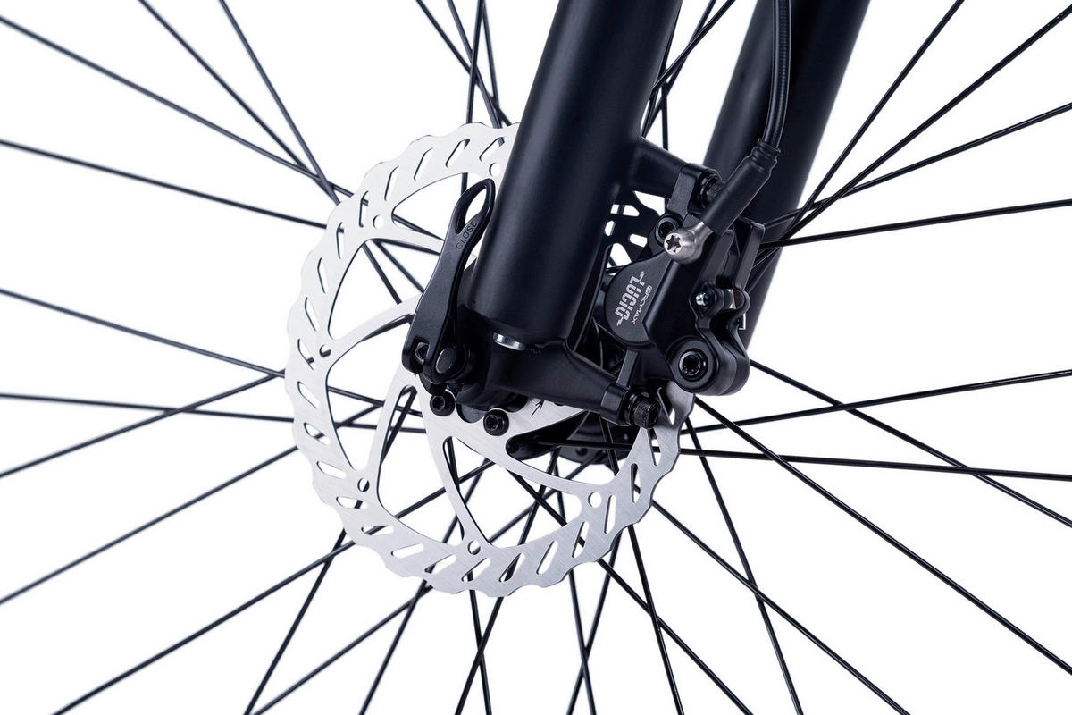 ELEKTROFAHRRAD ENFORCE 221E 29 Zoll  - Blau, Basics, Metall (180/70/100cm)
