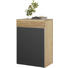 SCHUHSCHRANK 64/98/42,5 cm - Eichefarben/Silberfarben, Design, Glas/Holz (64/98/42,5cm) - Voglauer SCHUHSCHRANK 64/98/42,5 cm - Eichefarben/Silberfarben, Design, Glas/Holz (64/98/42,5cm) - Voglauer