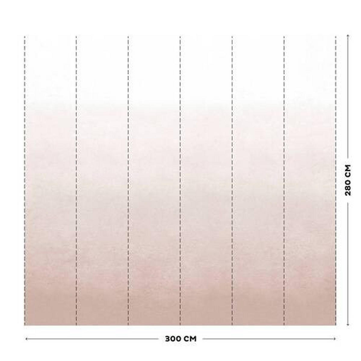 FOTOTAPETE VTWONEN  - Rosa, Trend, Papier/Kunststoff (300/300cm) - Xora