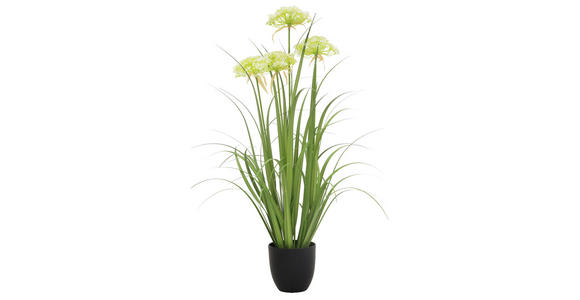 DEKOGRAS - Weiß/Grün, Basics, Kunststoff/Metall (90cm) - Ambia Home