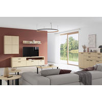 DNEVNI REGAL,  barve hrasta  - barve hrasta/antracit, Konvencionalno, kovina/leseni material (232,9/210/41cm) - Alples