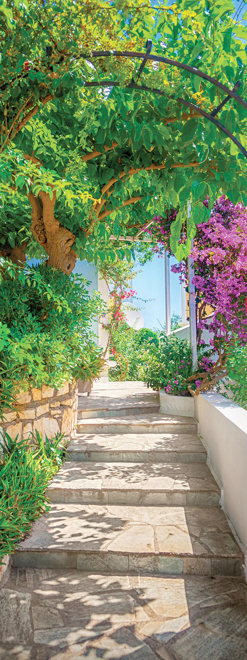 GLASBILD Landschaft & Natur  - Multicolor, Natur, Glas (30/80/1,40cm) - Euroart