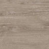 WANDPANEEL Baridecor Aqua Beige, Braun  - Beige/Braun, Design, Kunststoff (60/30/0,4cm)