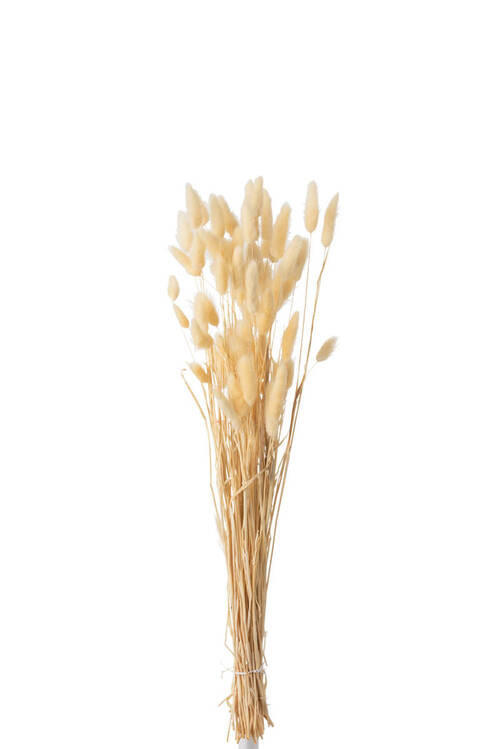 TROCKENBLUMENSTRAUß  - Beige, Basics, Naturmaterialien (10/4/75cm)