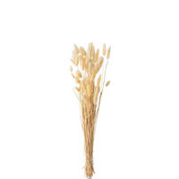 TROCKENBLUMENSTRAUß  - Beige, Basics, Naturmaterialien (10/4/75cm)