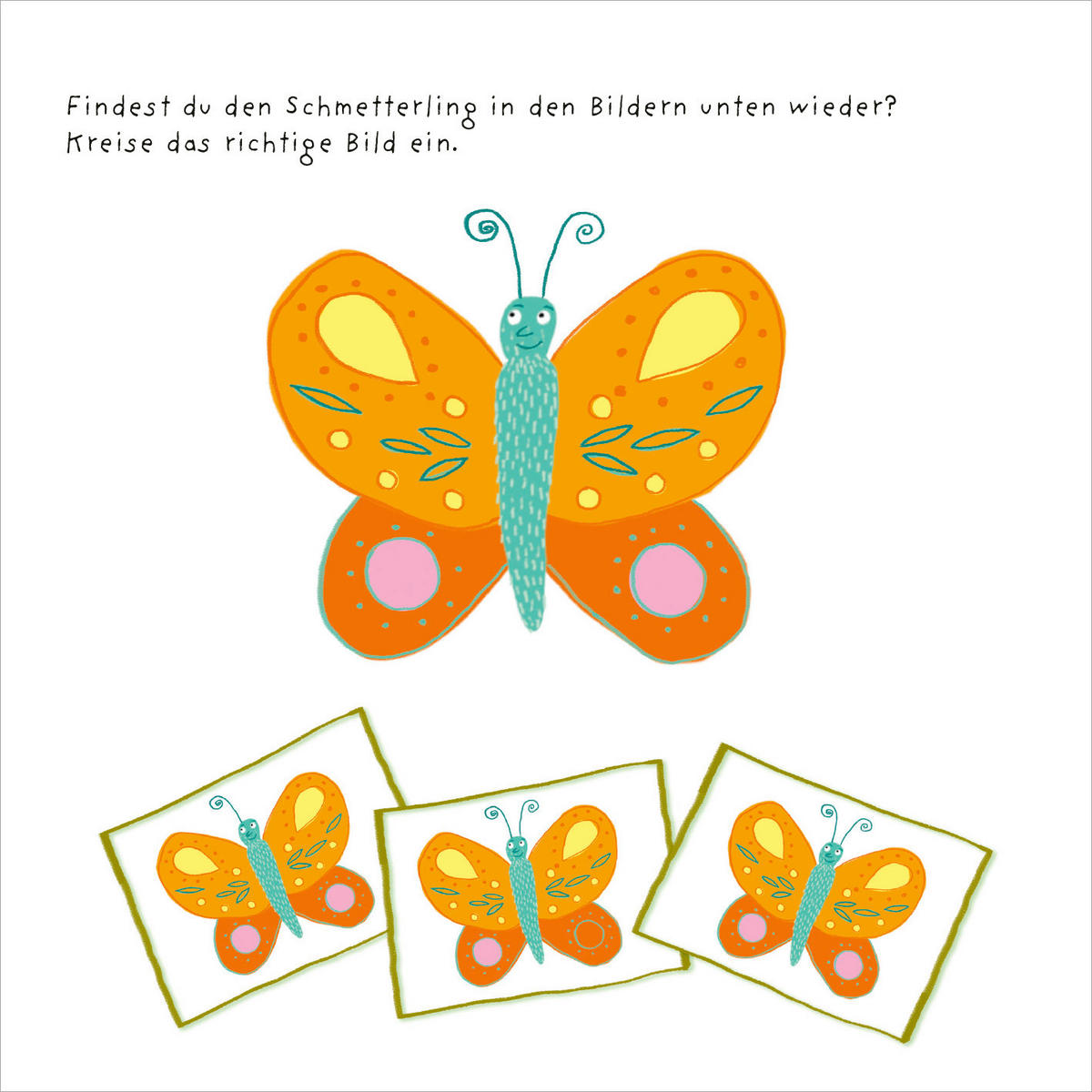 BUCH  - Multicolor, Basics, Papier (17/17/1cm)