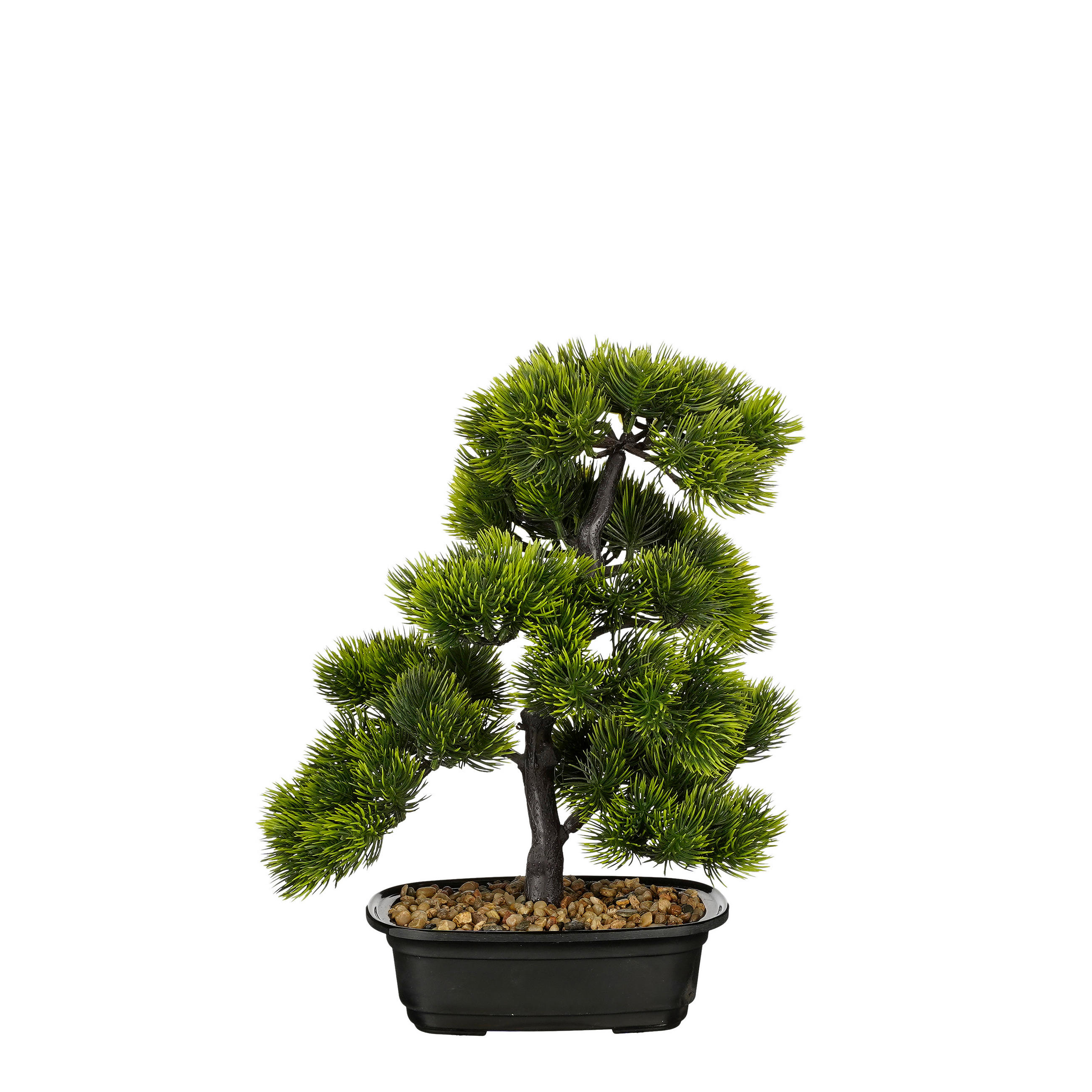 BONSAI  - zelena, Basics, plastika (27/27/33cm)