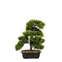 BONSAI  - zelena, Basics, plastika (27/27/33cm)