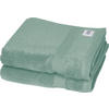 HANDTUCH 50/100 cm SW-Cuddly Mintgrün 2-teilig  - Mintgrün, Basics, Textil (50/100cm) - Schöner Wohnen