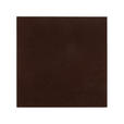 TEPPICHFLIESE - Braun, Basics, Kunststoff/Textil (40/40cm) - Esposa