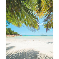 NON WOVEN-TAPET 200/250 cm  - Natur (200/250cm)