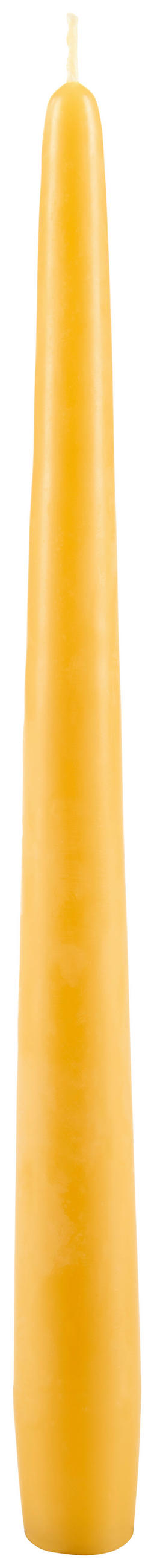 STABKERZE - Gelb, Basics (2,3/24,5cm) - Steinhart