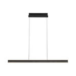 LED-HÄNGELEUCHTE  118/10/170 cm    - Schwarz, Design, Kunststoff/Metall (118/10/170cm) - Dieter Knoll