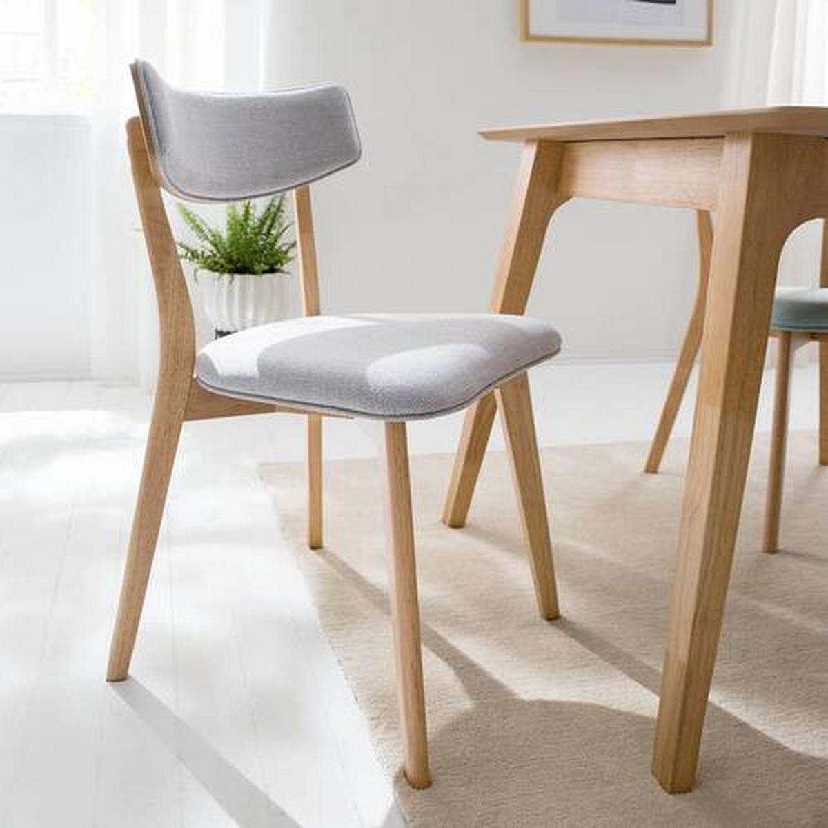 ŽIDLE, přírodní barvy, světle šedá - světle šedá/přírodní barvy, Moderní, dřevo/textil (49.5/80/49.5cm) - home24